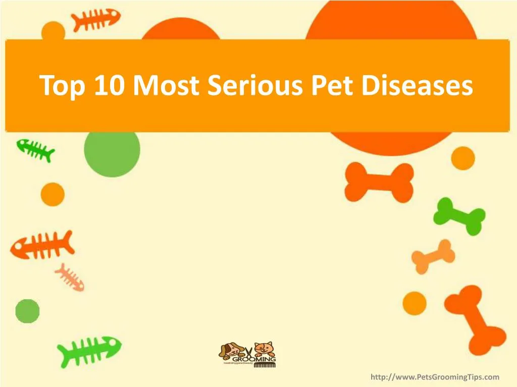 top 10 most serious pet diseases