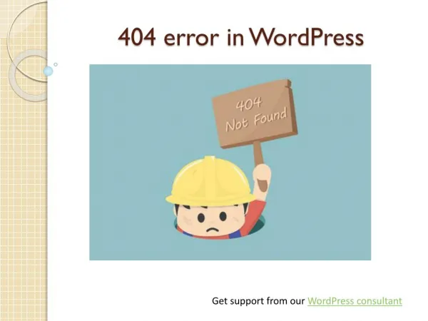 WordPress Support for 404 Errors