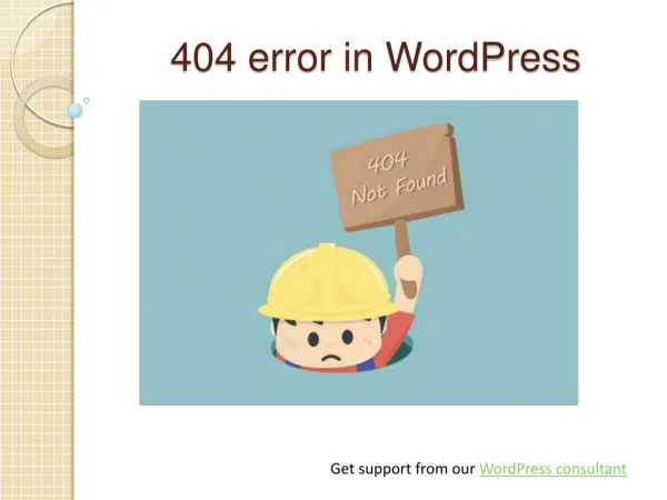 WordPress Support for 404 Error