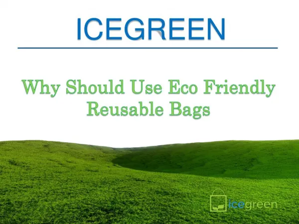 Why Should Use Eco Friendly Reusable Bags