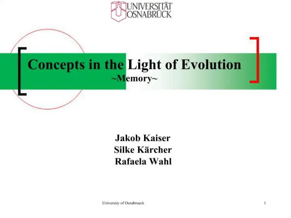 Concepts in the Light of Evolution Memory