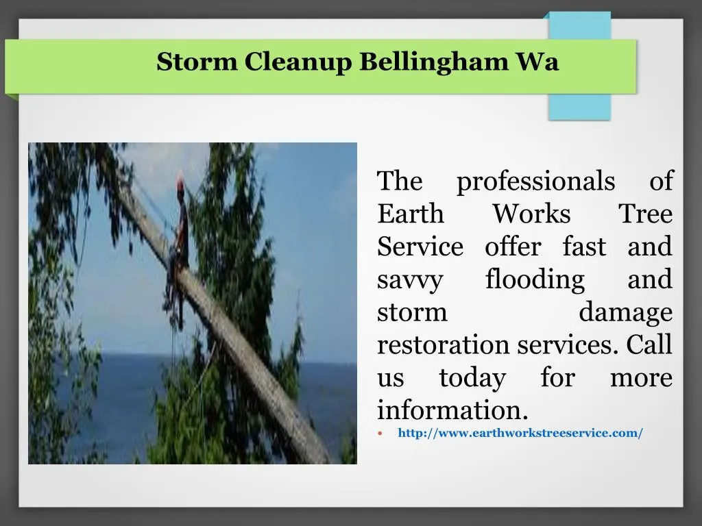 storm cleanup bellingham wa