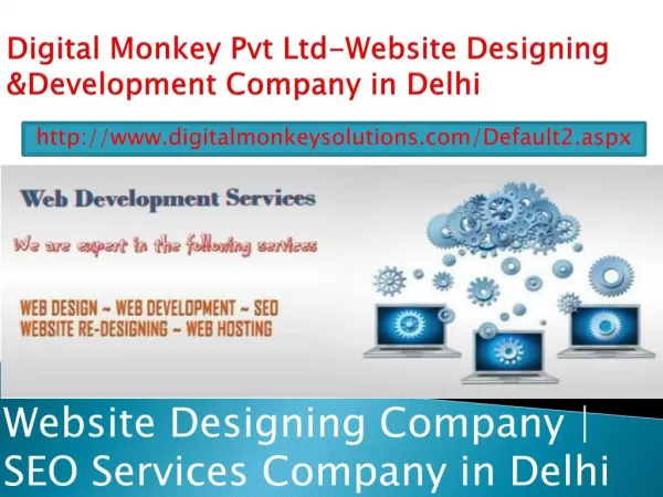 Digital Monkey Pvt Ltd-Website Designing &Development Company in Delhi