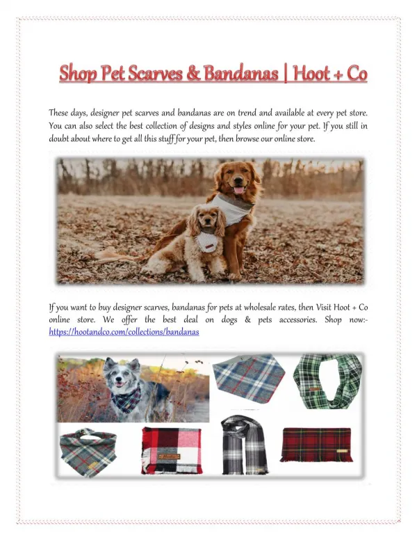 Shop Pet Scarves & Bandanas | Hoot Co