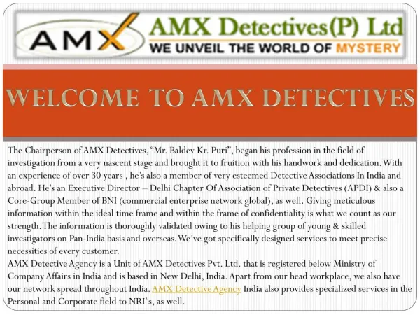 Professional Private Detective Agency in Delhi, India | AMX Detectives
