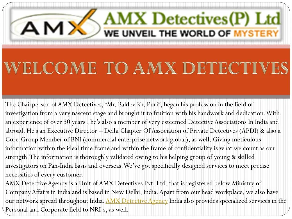 welcome to amx detectives