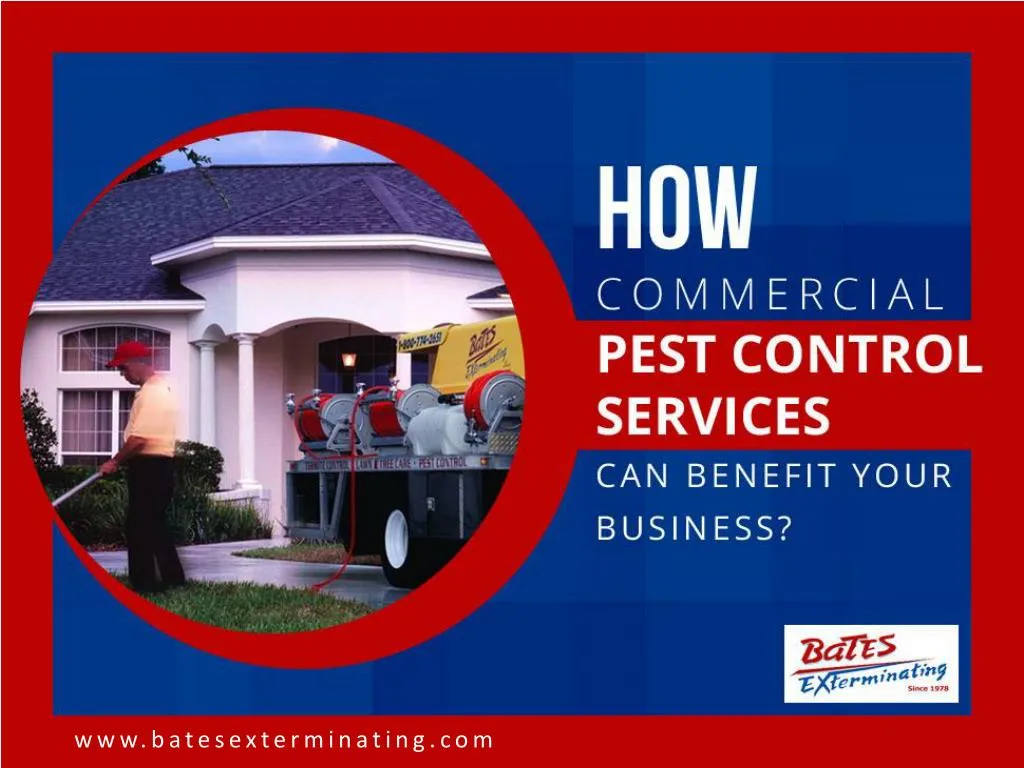 how commercial pest control services can benefit your business