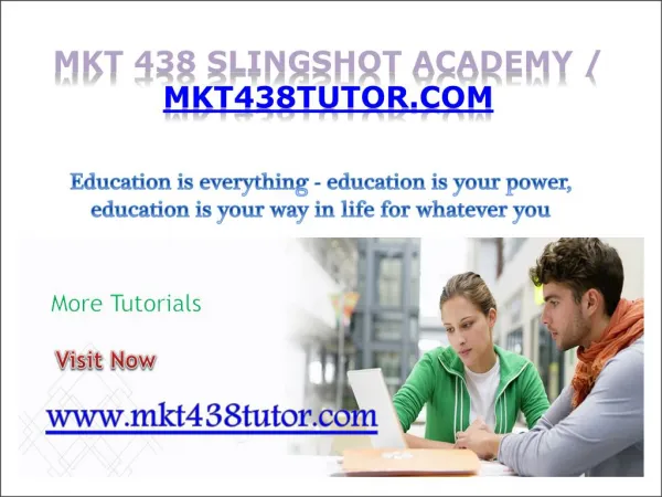 MKT 438 Slingshot Academy / mkt438tutor.com