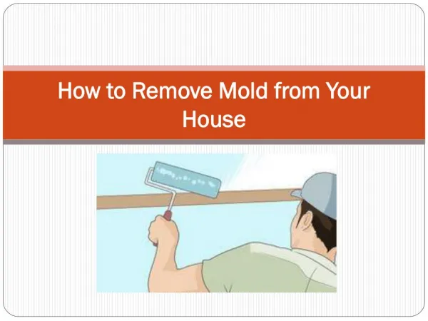 How to Remove Mold from Your House