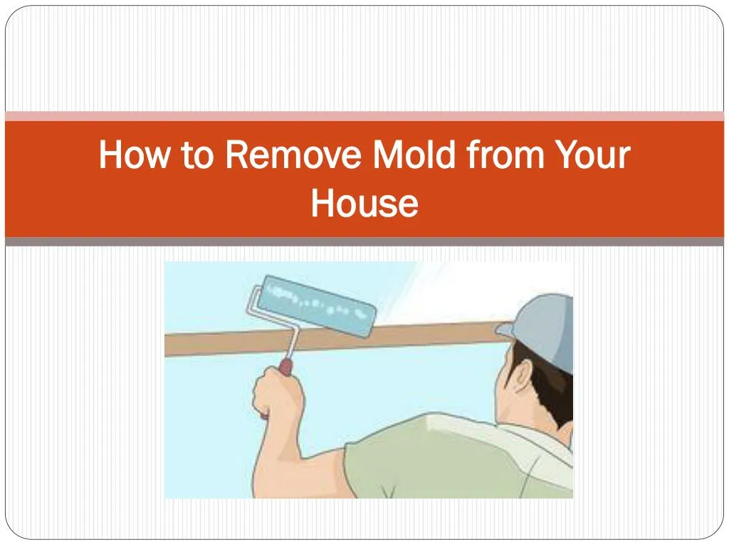 how to remove mold from your how to remove mold