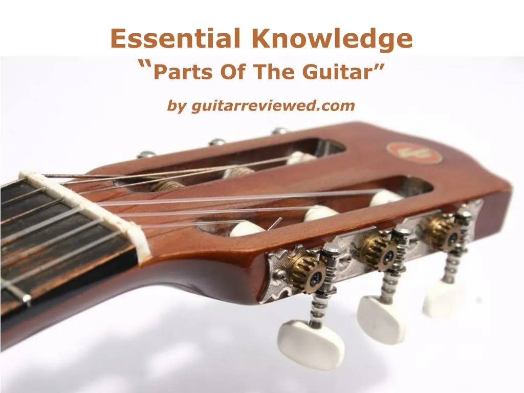 essential knowledge parts of t he guitar
