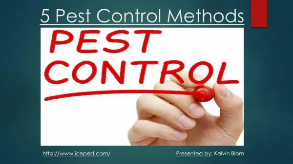 5 Pest Control Methods For Home