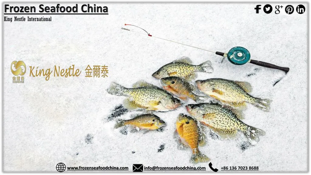 frozen seafood china king nestle international
