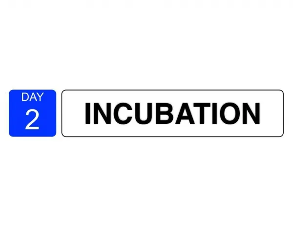 day two creative outlets confratute 2014
