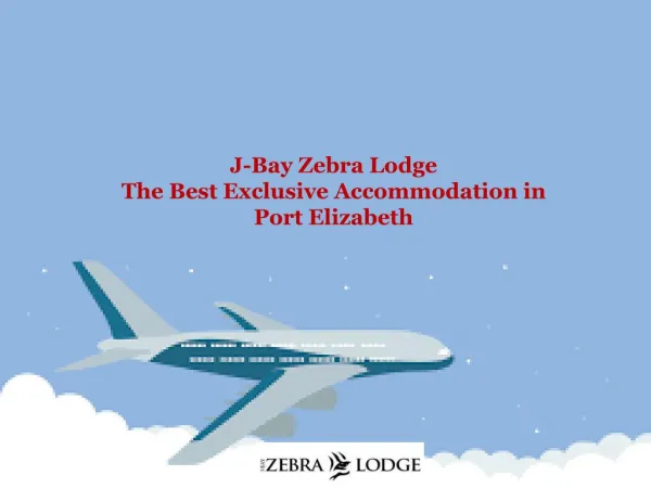 J-Bay Zebra Lodge: The Best Exclusive Accommodation in Port Elizabeth