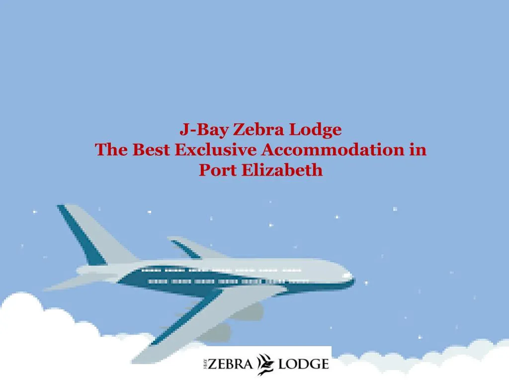 j bay zebra lodge the best exclusive accommodation in port elizabeth