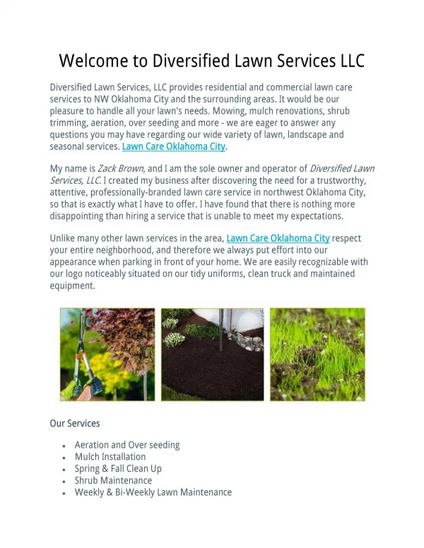 Welcome to Diversified Lawn Services LLC