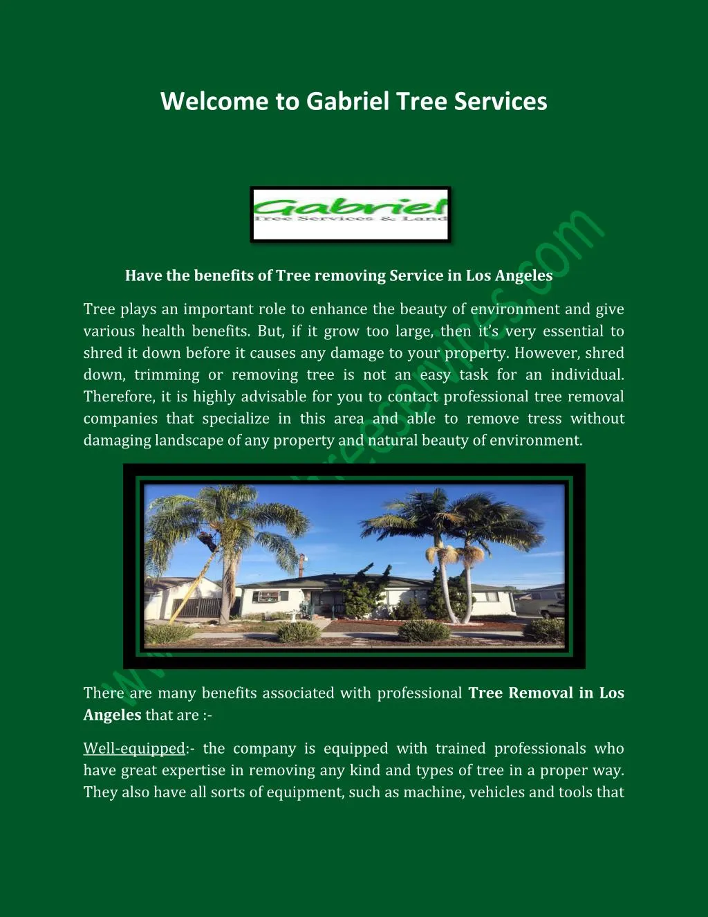 welcome to gabriel tree services