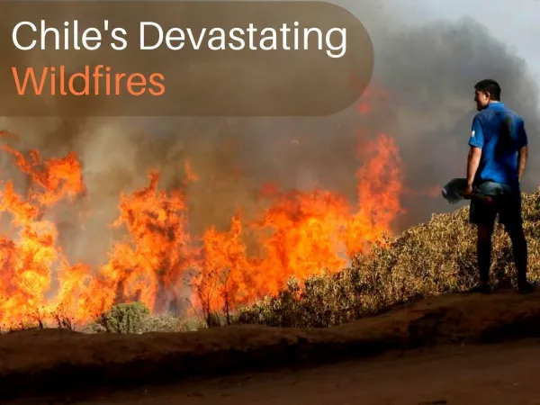 Chile's devastating wildfires