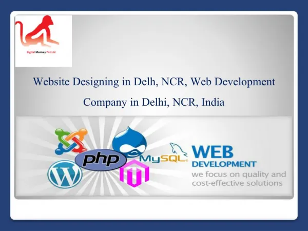 Website Designing in Delh, NCR, Web Development Company in Delhi, NCR, India