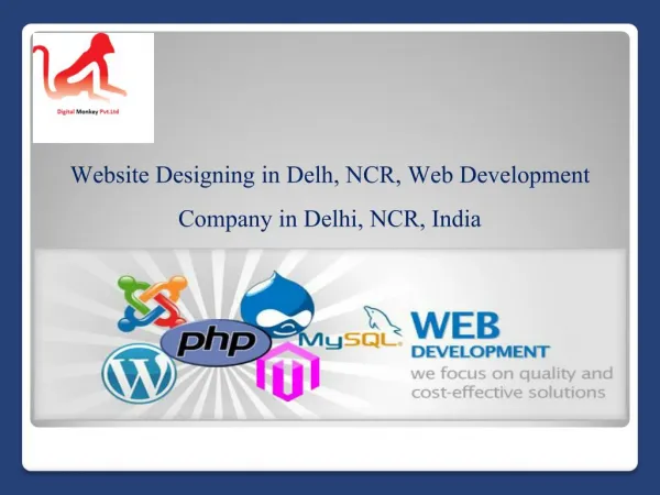 Website Designing in Delh, NCR, Web Development Company in Delhi, NCR, India