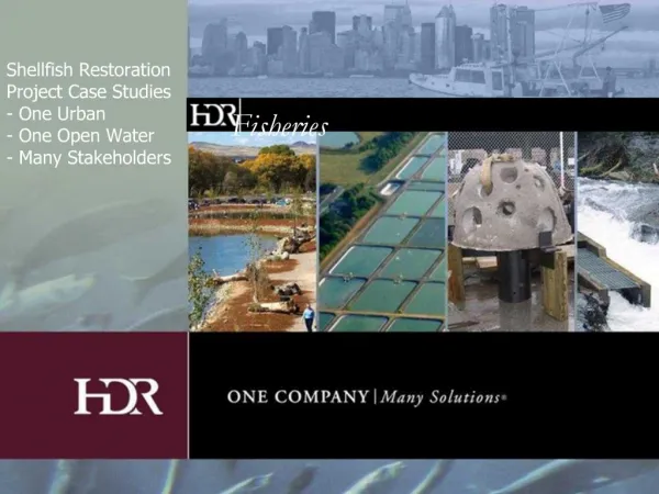 Shellfish Restoration Project Case Studies - One Urban - One Open Water - Many Stakeholders