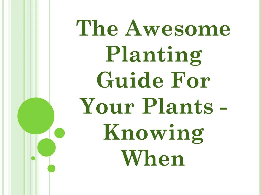 the awesome planting guide for your plants knowing when