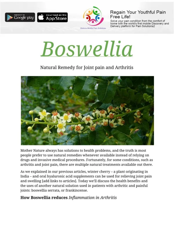 Boswellia natural remedy for joint pain and arthritis
