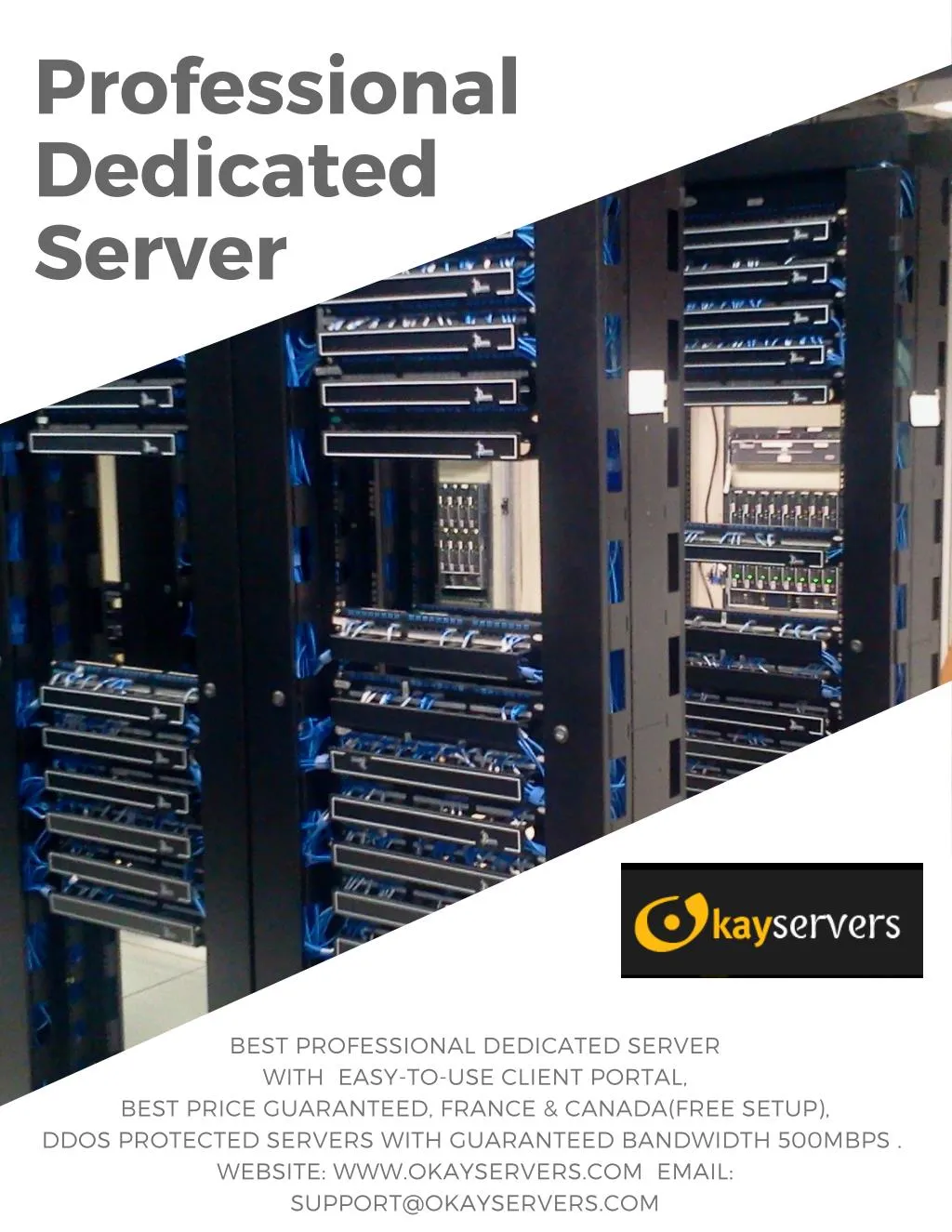 professional dedicated server
