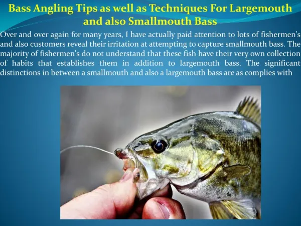 Bass Angling Tips as well as Techniques For Largemouth and also Smallmouth Bass