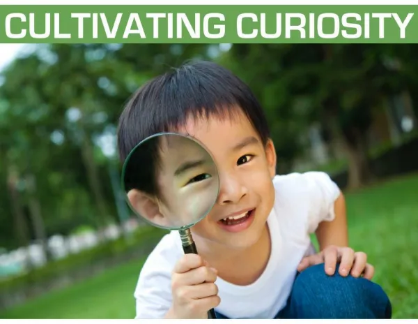 Cultivating Curiosity