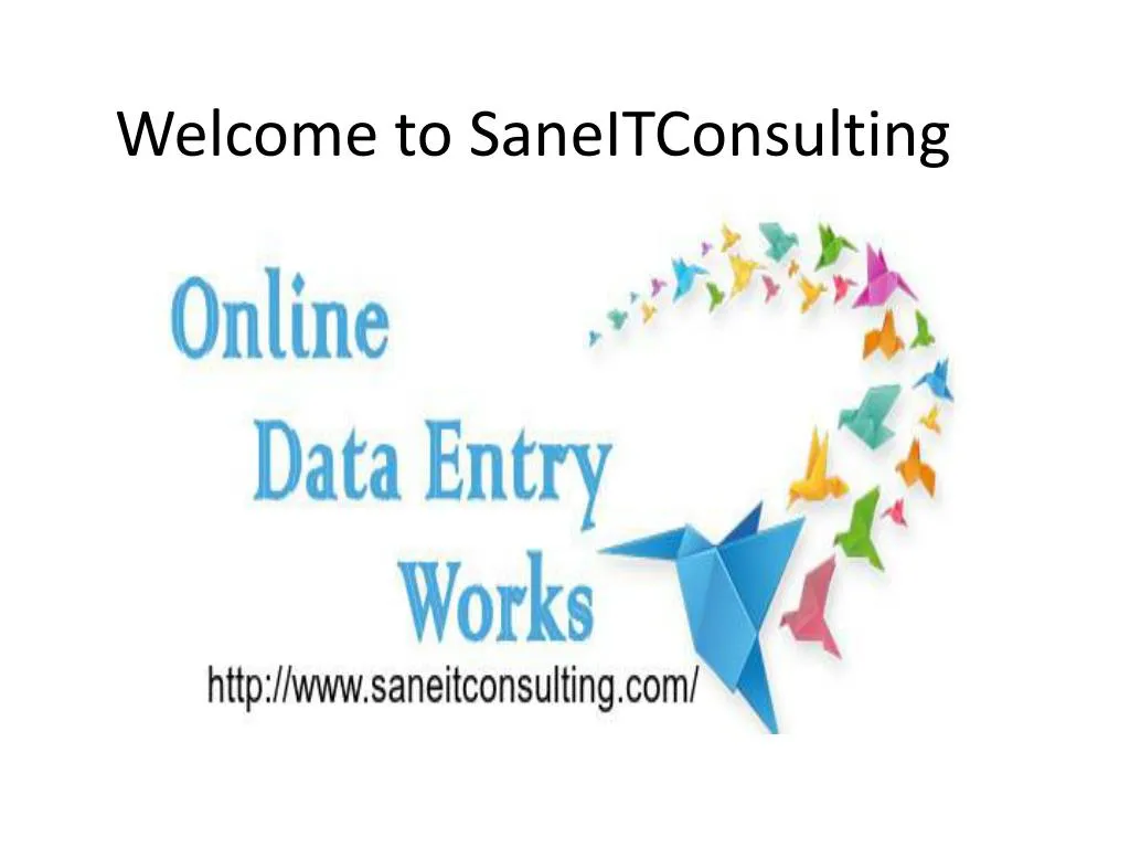 welcome to saneitconsulting