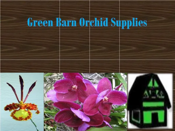 Orchid Mixes and Growing Media