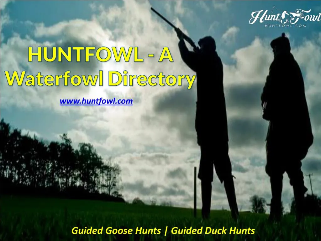 huntfowl a waterfowl directory