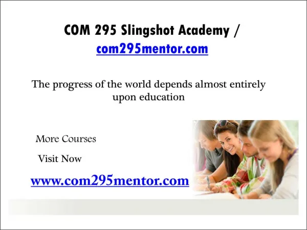 COM 295 Slingshot Academy / com295mentor.com