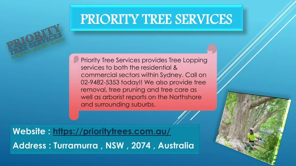 website https prioritytrees com au address turramurra nsw 2074 australia