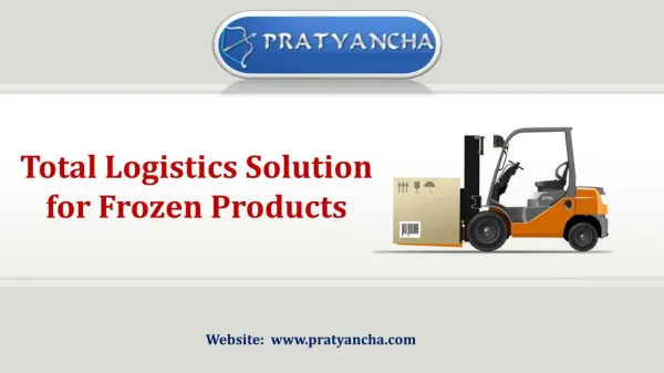 Total Logistics Solution for Frozen Products