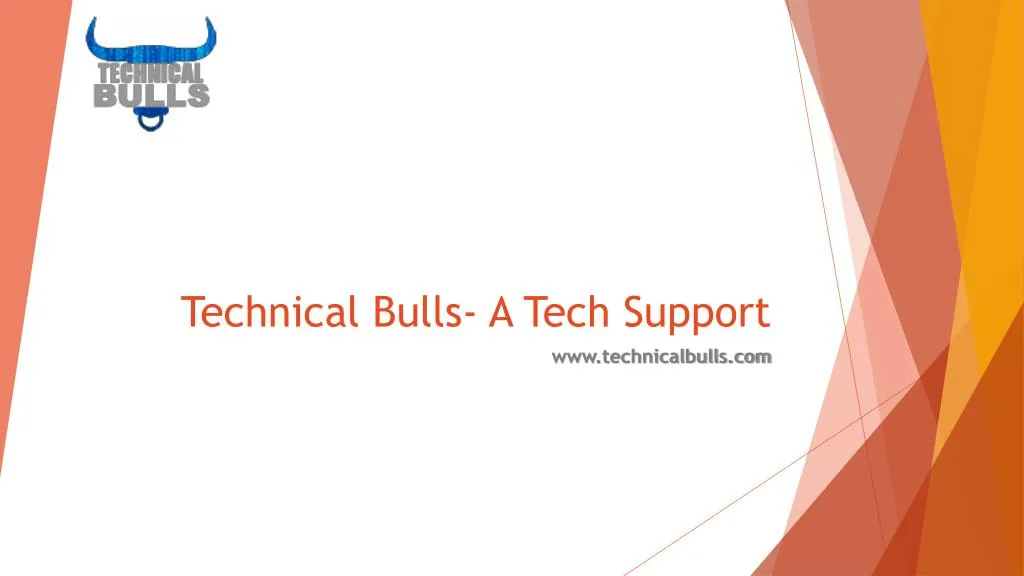 technical bulls a tech support