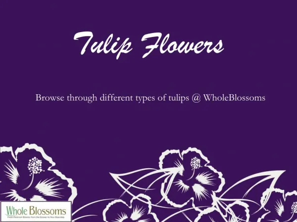 Tulips Flowers Online - www.wholeblossoms.com