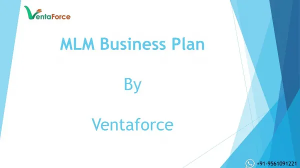 MLM Software Business