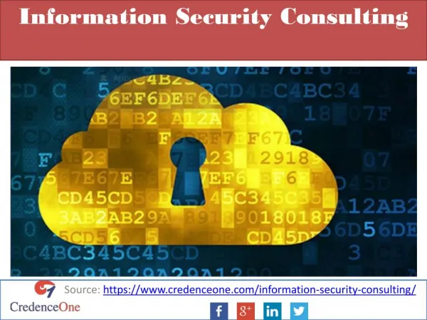 Information Security Consulting