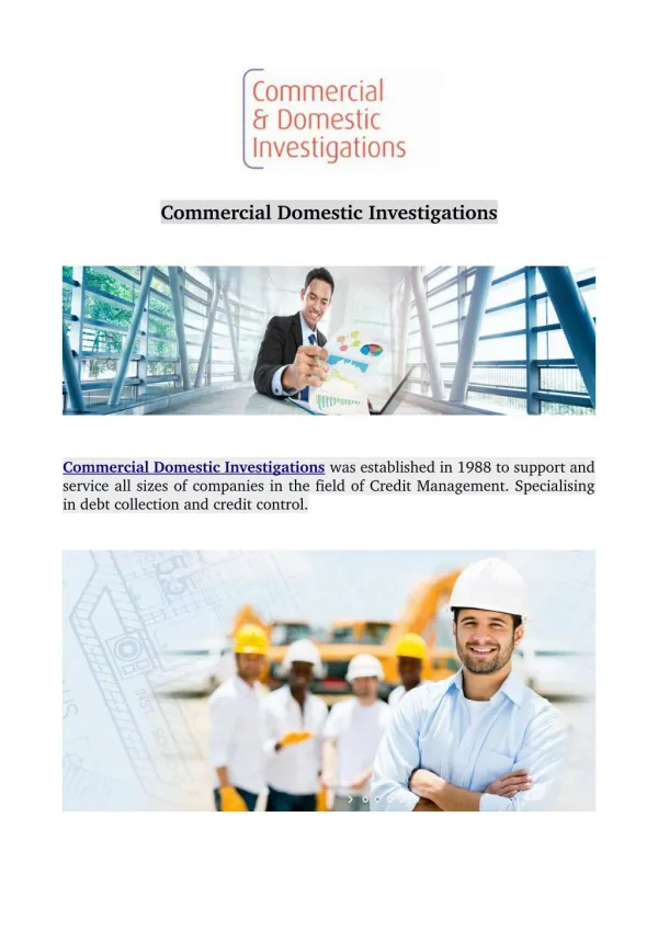 Commercial Domestic Investigations