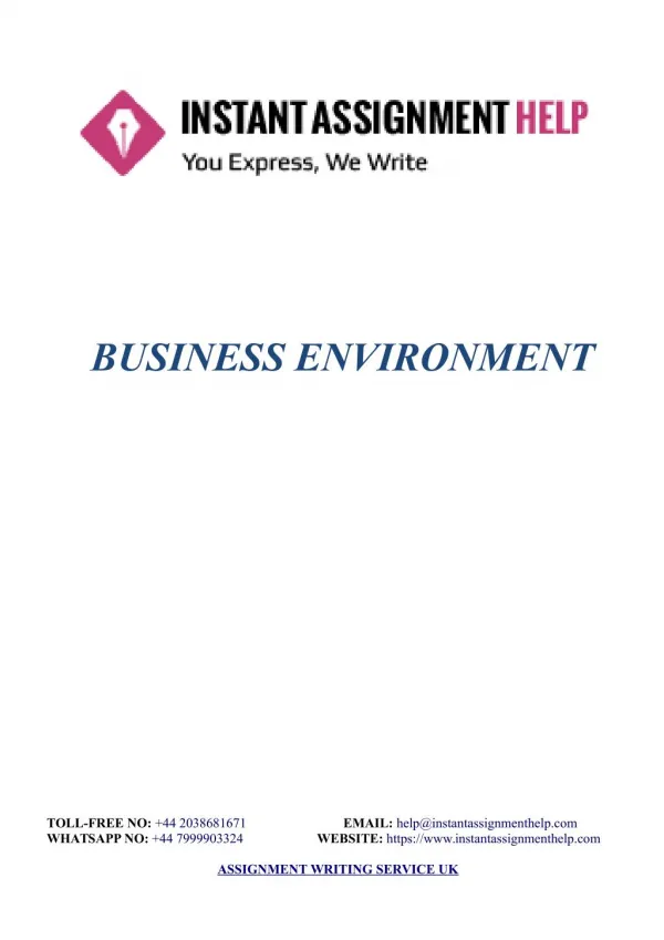 Business Environment Sample - Instant Assignment Help