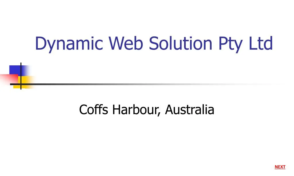 dynamic web solution pty ltd