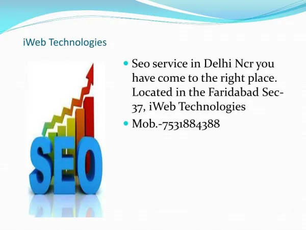 Seo Service in Faridabad