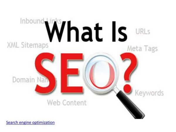 Best SEO services in India serving organic result| Search engine optimization