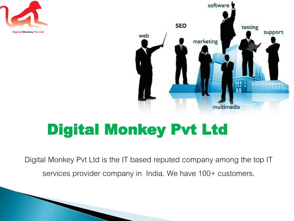 digital monkey pvt ltd