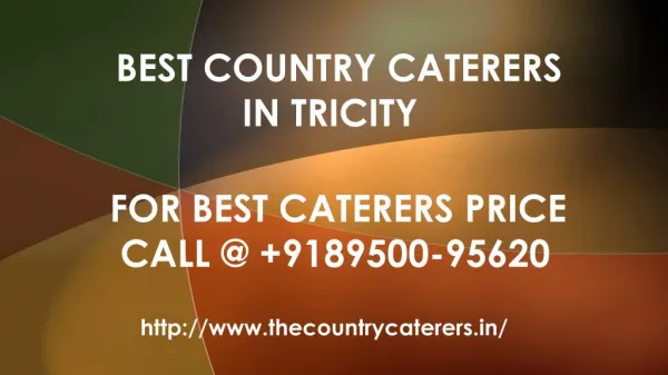Best Caterers In Zirakpur 91 8950095620