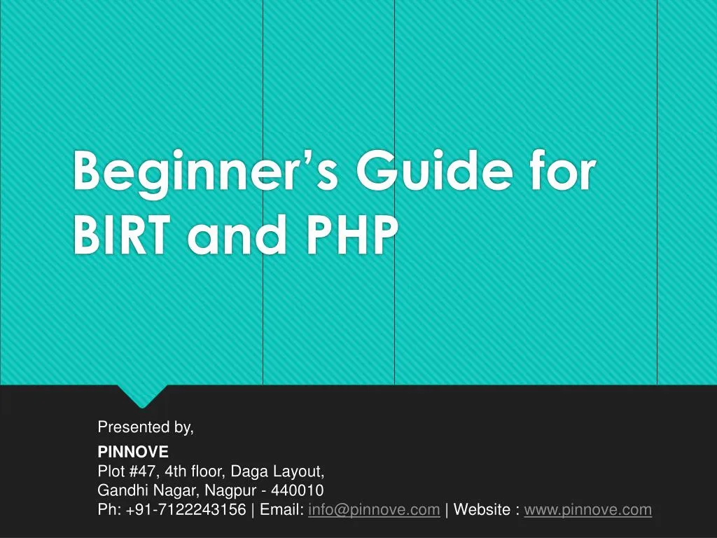 beginner s guide for birt and php