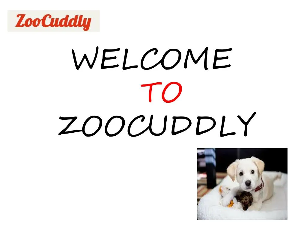 welcome to zoocuddly